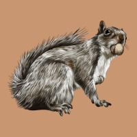 Gray Squirrel Heavyweight Hoodie | Teevron