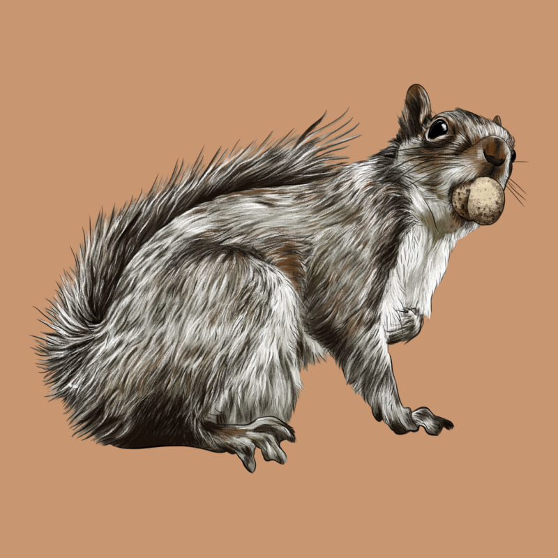 Gray Squirrel Heavyweight Hoodie by LillyAllenDesigns | Teevron