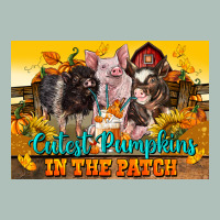 Cutest Pumpkin In The Patch Pig Heavyweight Hoodie | Teevron