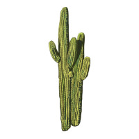 saguaro cactus | Teevron
