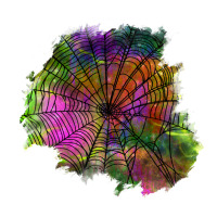 halloween spider web for patches | Teevron