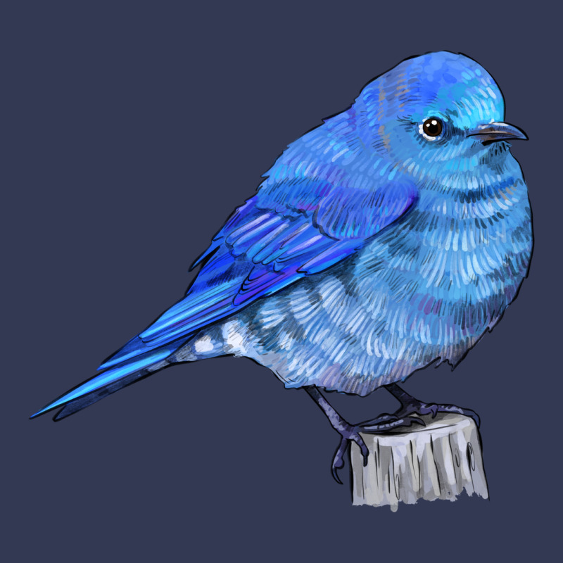 Mountain Bluebird Heavyweight Hoodie by LillyAllenDesigns | Teevron