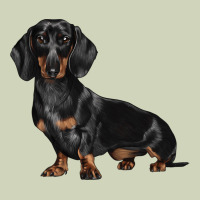Dachshund Dog Illustrations Heavyweight Hoodie | Teevron