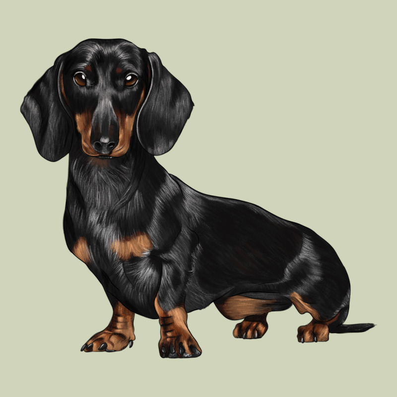 Dachshund Dog Illustrations Heavyweight Hoodie by LillyAllenDesigns | Teevron