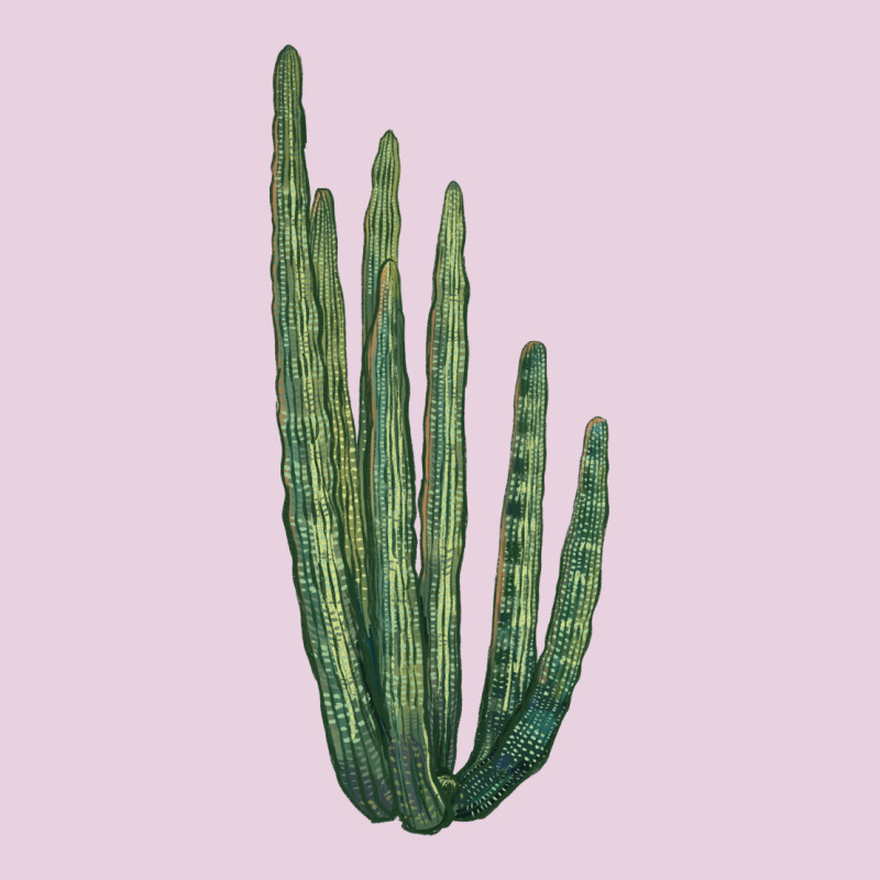Organ Pipe Cactus Classic Tee by LillyAllenDesigns | Teevron