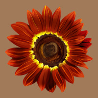 Rouge Royale Sunflower Classic Tee | Teevron