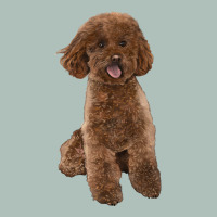 Poodles Dog Lllustrations Heavyweight Hoodie | Teevron