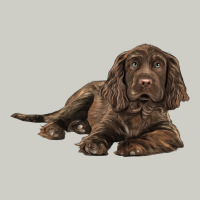Sussex Spaniels Llustrations Heavyweight Hoodie | Teevron