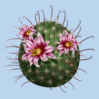 Arizona Fishhook Cactus Classic Tee | Teevron