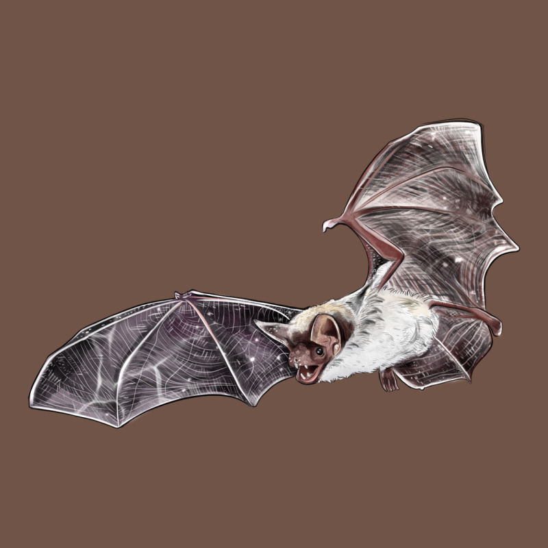 Mexican Free Tailed Bat Premium Sweatshirt by LillyAllenDesigns | Teevron