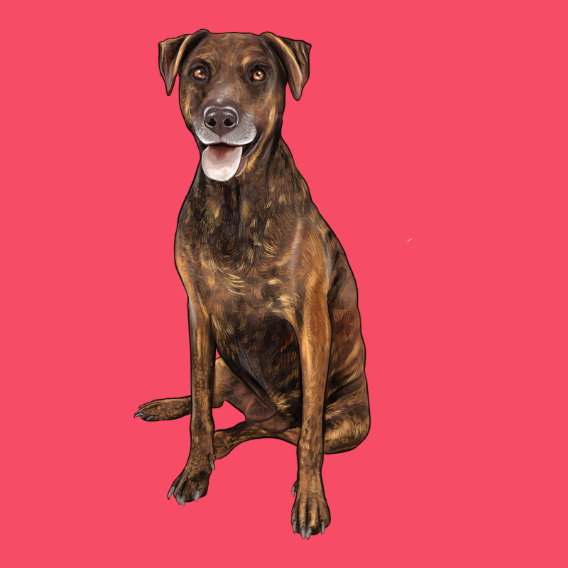 Plott Hound Premium Sweatshirt by LillyAllenDesigns | Teevron