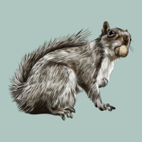 Gray Squirrel Premium Sweatshirt | Teevron