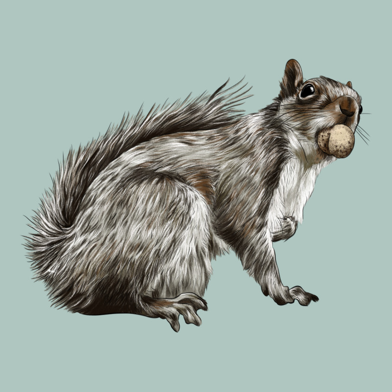 Gray Squirrel Premium Sweatshirt by LillyAllenDesigns | Teevron