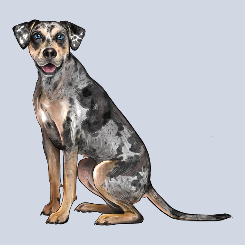 Catahoula Leopard Dog Premium Sweatshirt by LillyAllenDesigns | Teevron