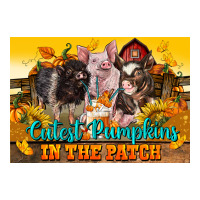 Cutest Pumpkin In The Patch Pig | Teevron