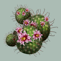 Arizona Fishhook Cacti Classic Tee | Teevron