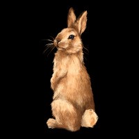 Bunny Heavy Core Tee | Teevron