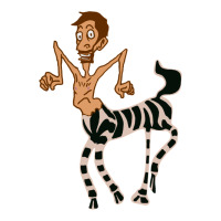 zebra in america doodle | Teevron