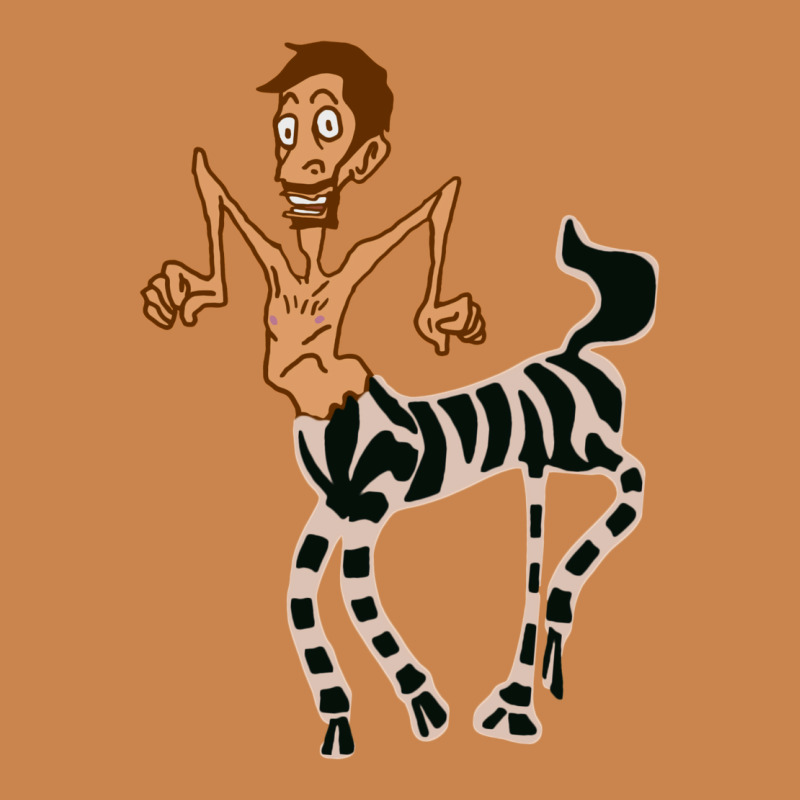 Zebra In America Doodle Heavyweight Hoodie by tuanDangUi | Teevron