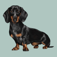 Dachshund Dog Illustrations Premium Sweatshirt | Teevron