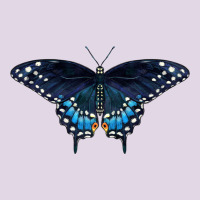 Black Swallowtail Butterfly Classic Tee | Teevron