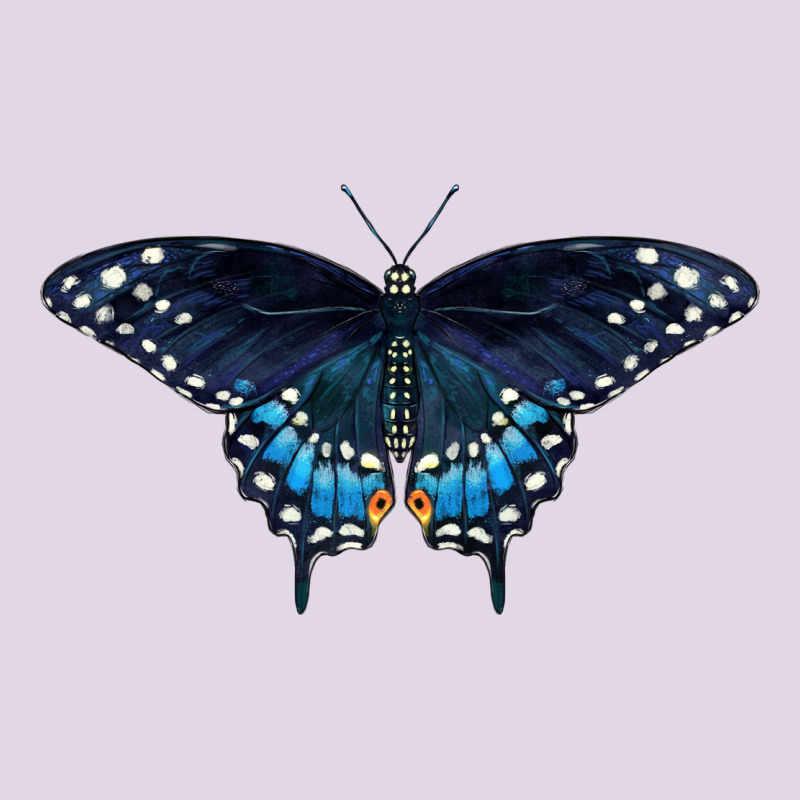 Black Swallowtail Butterfly Classic Tee by LillyAllenDesigns | Teevron