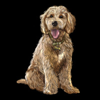 Goldendoodle Urban Hoodie | Teevron