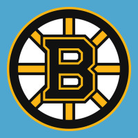 The Bruins Premium Hoodie | Teevron