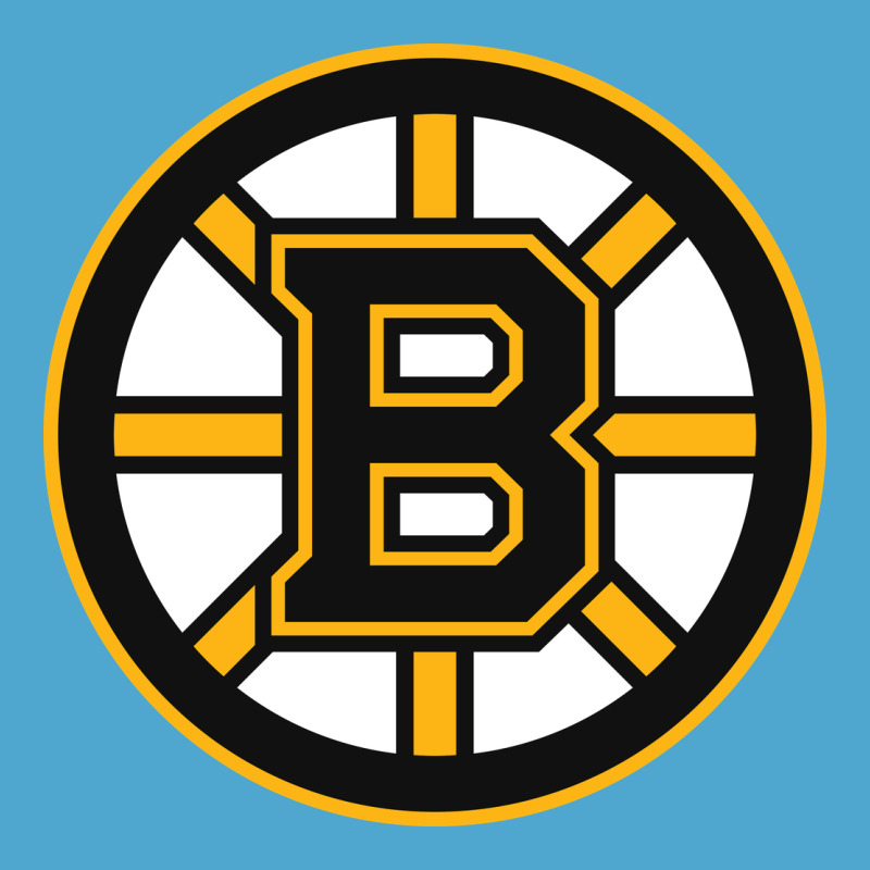 The Bruins Premium Hoodie by tuanDangUi | Teevron