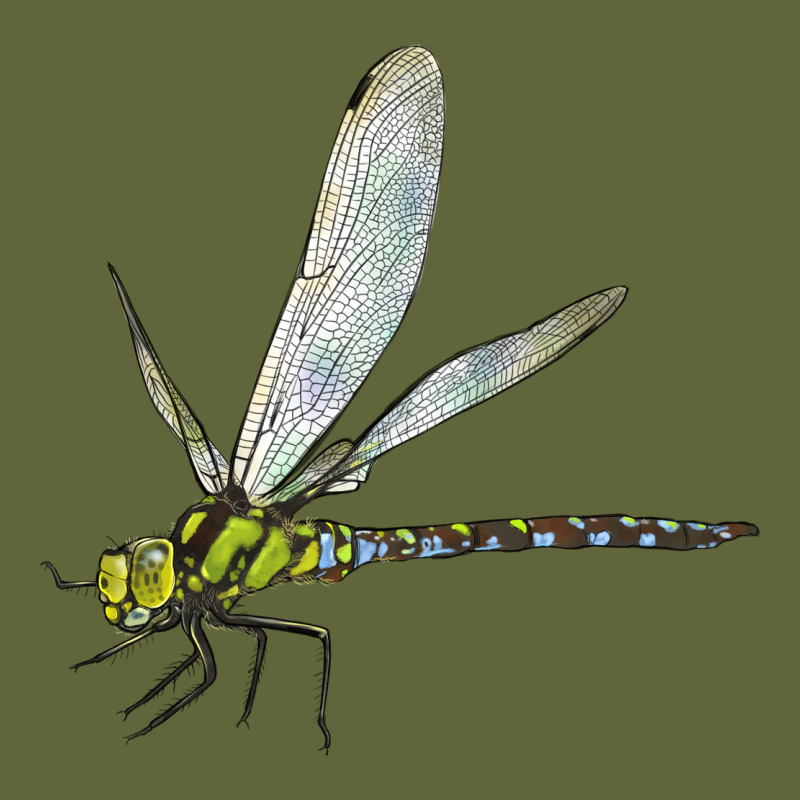 Blue And Yellow Dragonfly Classic Tee by LillyAllenDesigns | Teevron