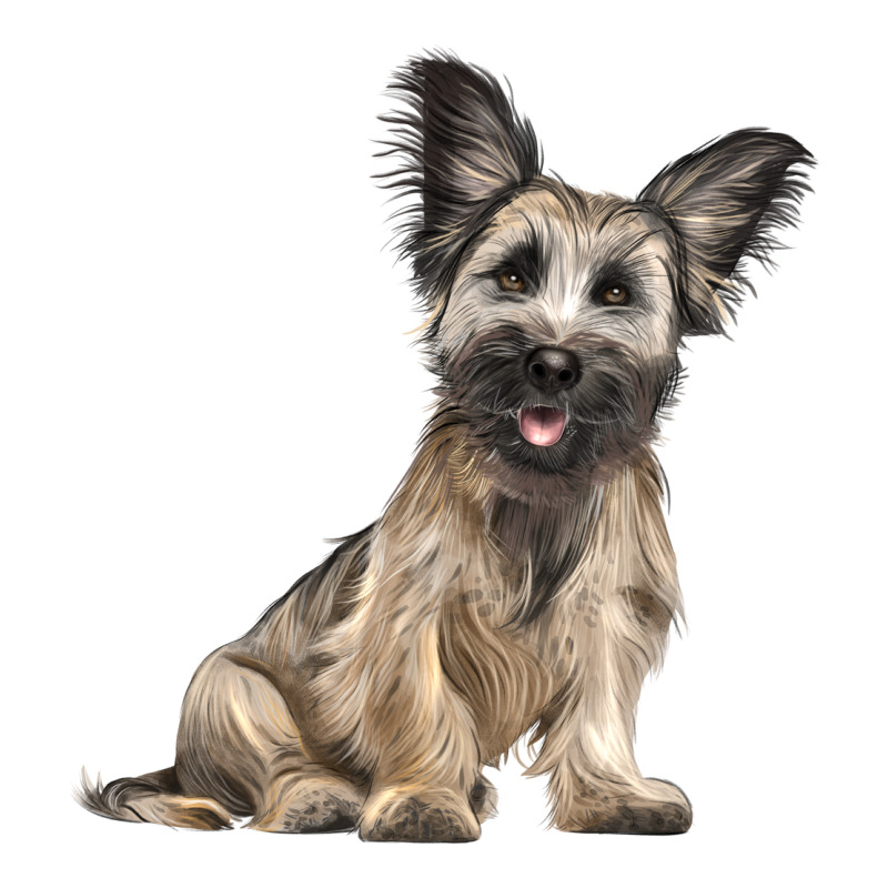 Skye Terrier Dog Illustrations Premium Sweatshirt by LillyAllenDesigns | Teevron