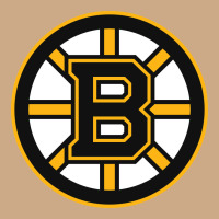 The Bruins Vintage Hoodie | Teevron