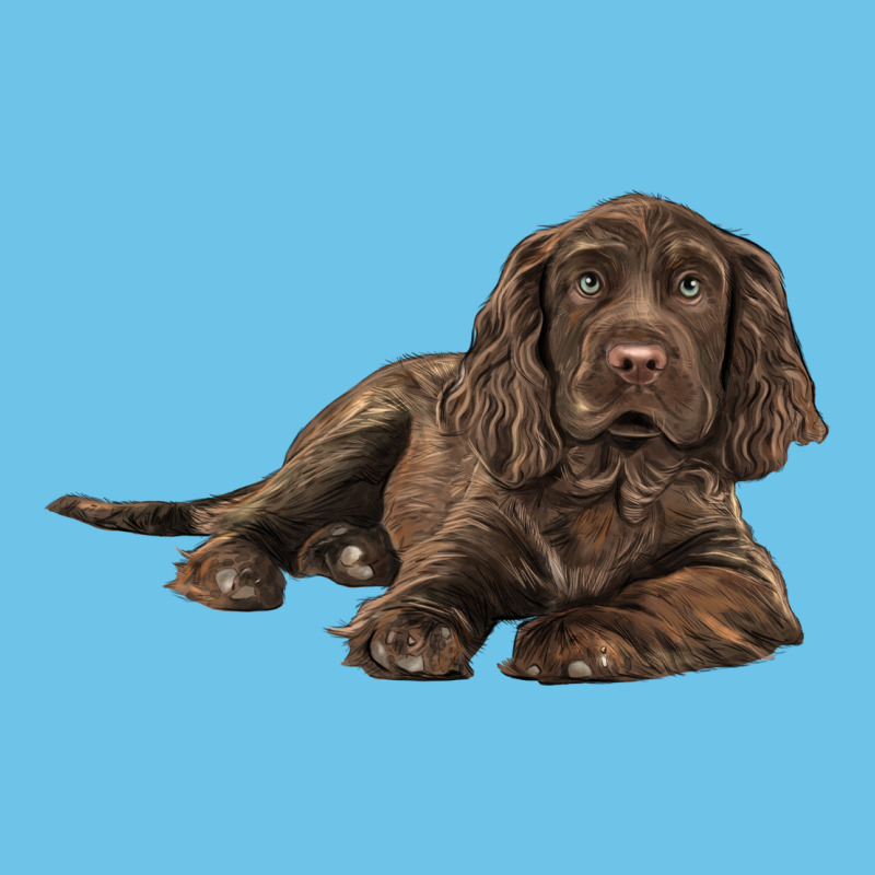 Sussex Spaniels Llustrations Premium Sweatshirt by LillyAllenDesigns | Teevron
