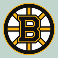 The Bruins Zipper Hoodie | Teevron