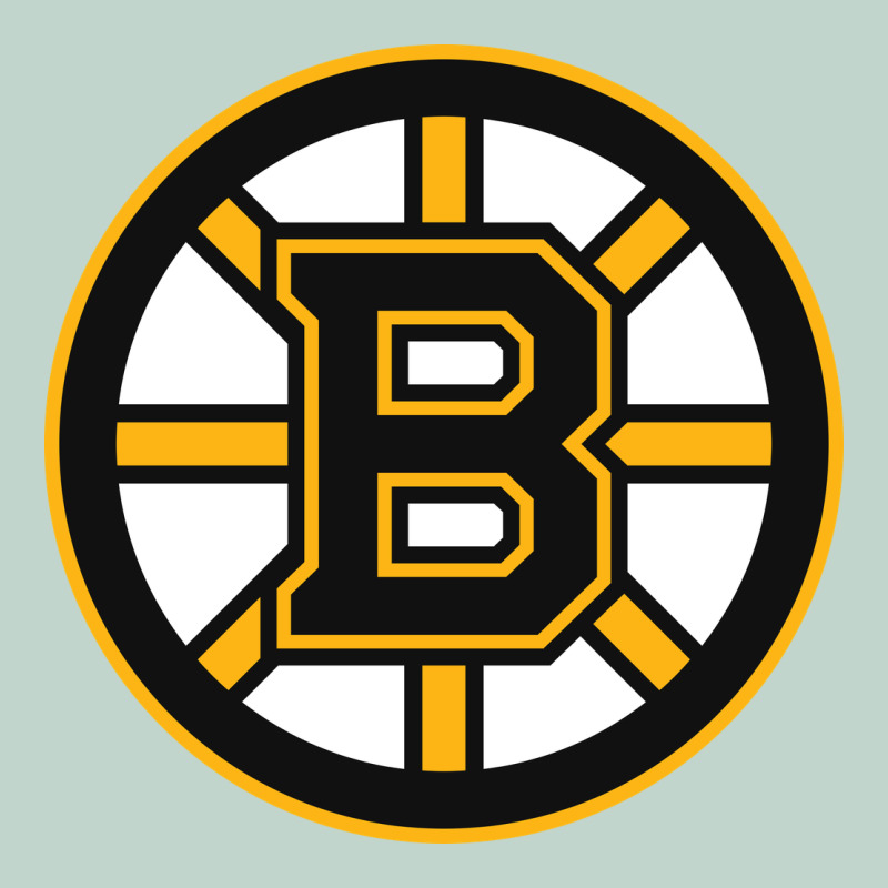 The Bruins Zipper Hoodie by tuanDangUi | Teevron