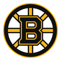 the bruins | Teevron