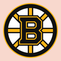 The Bruins Urban Hoodie | Teevron
