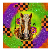 Halloween Belgian Horse | Teevron