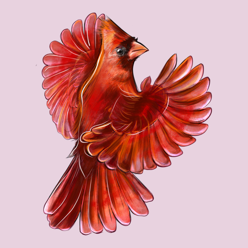 Flying Northern Cardinal Bird Classic Tee by LillyAllenDesigns | Teevron