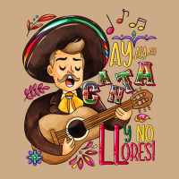 Ay, Ay, Ay Canta Y No Llores! Vintage Hoodie | Teevron