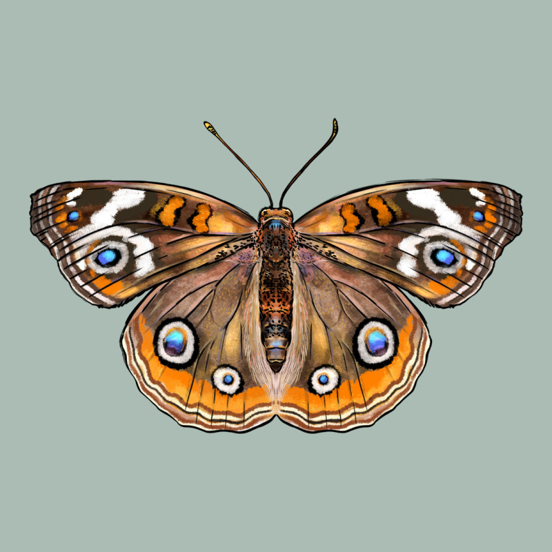 Common Buckeye Butterfly Classic Tee by LillyAllenDesigns | Teevron