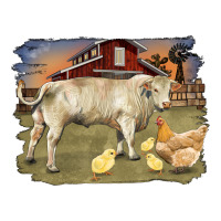 charolaris bull and chicken in barnyard | Teevron