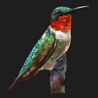 Ruby Throated Hummingbird Bird Classic Tee | Teevron