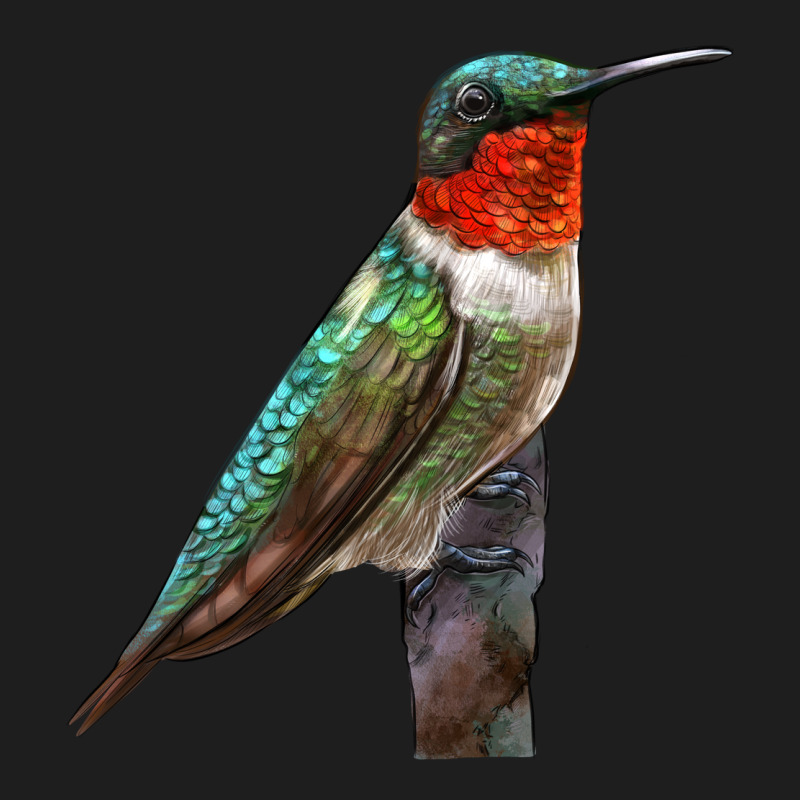 Ruby Throated Hummingbird Bird Classic Tee by LillyAllenDesigns | Teevron