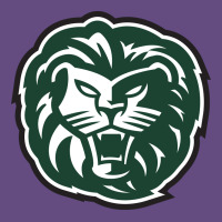 Piedmont College Lions Vintage Hoodie | Teevron