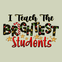 I Teach The Brightest Students Heavyweight Hoodie | Teevron