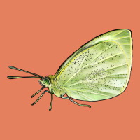 Cabbage White Butterfly Classic Tee | Teevron