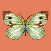 Cabbage Butterfly Classic Tee | Teevron