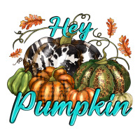 Hey Pumpkin | Teevron