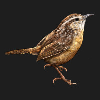 Ccarolina Wren Classic Tee | Teevron